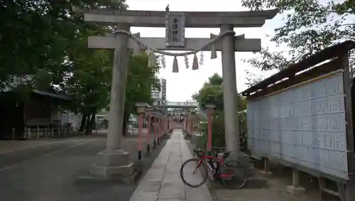 千住神社の鳥居