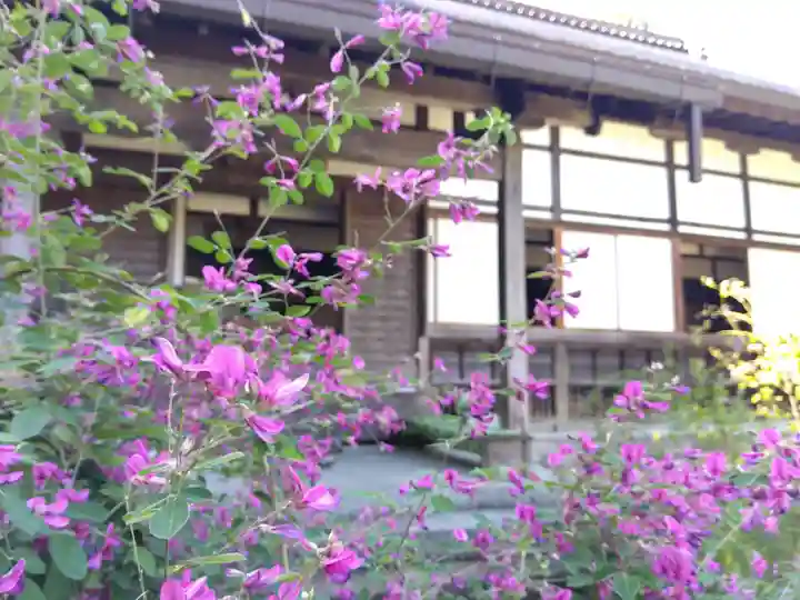 瑞源寺(福井県)