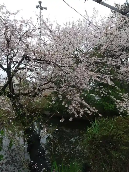 鷲神社(埼玉県)