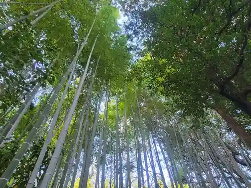 木野山神社(愛媛県)
