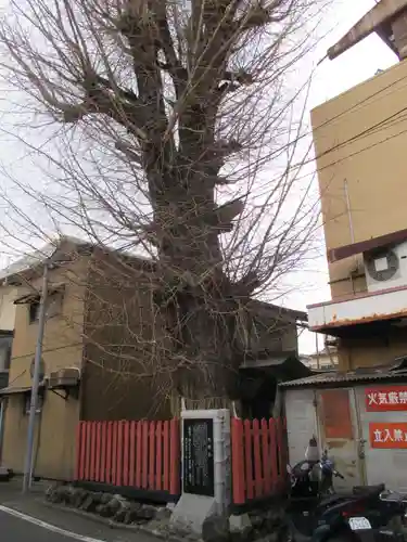 島原住吉神社(京都府)