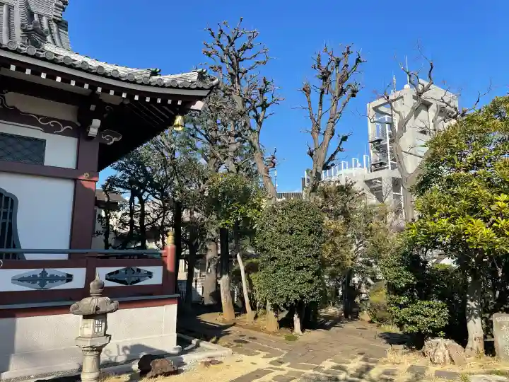 仙寿院の{uncategorized: "未分類", other: "その他", undefined: "問題あり", building: "その他建物", grave: "お墓", sacred_gate: "鳥居", guardian: "狛犬", statue: "像", buddha: "仏像", history: "歴史", nature: "自然", garden: "庭園", animal: "動物", pagoda: "塔", temizu: "手水舎", mountain_gate: "山門・神門", sanctuary: "本殿・本堂", subordinate: "末社・摂社", art: "芸術", scenery: "景色", jizo: "地蔵", ema: "絵馬", goshuin: "御朱印", omikuji: "おみくじ", items: "授与品その他", amulet: "お守り", goshuincho: "御朱印帳", eats: "食事", festival: "お祭り", votive_dance: "神楽", shichigosan: "七五三参", wedding: "結婚式", experience: "体験その他", initially: "初詣", around: "周辺", anti_infection: "感染症対策"}