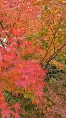 鍬山神社(京都府)