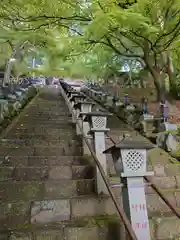 大山寺(神奈川県)