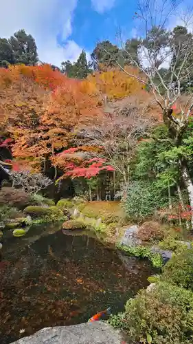 寂光院(京都府)