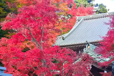 高尾山薬王院(東京都)