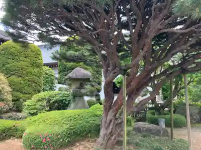 宝光寺の{uncategorized: "未分類", other: "その他", undefined: "問題あり", building: "その他建物", grave: "お墓", sacred_gate: "鳥居", guardian: "狛犬", statue: "像", buddha: "仏像", history: "歴史", nature: "自然", garden: "庭園", animal: "動物", pagoda: "塔", temizu: "手水舎", mountain_gate: "山門・神門", sanctuary: "本殿・本堂", subordinate: "末社・摂社", art: "芸術", scenery: "景色", jizo: "地蔵", ema: "絵馬", goshuin: "御朱印", omikuji: "おみくじ", items: "授与品その他", amulet: "お守り", goshuincho: "御朱印帳", eats: "食事", festival: "お祭り", votive_dance: "神楽", shichigosan: "七五三参", wedding: "結婚式", experience: "体験その他", initially: "初詣", around: "周辺", anti_infection: "感染症対策"}