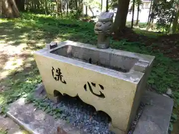 白山神社(徳永神社)の{uncategorized: "未分類", other: "その他", undefined: "問題あり", building: "その他建物", grave: "お墓", sacred_gate: "鳥居", guardian: "狛犬", statue: "像", buddha: "仏像", history: "歴史", nature: "自然", garden: "庭園", animal: "動物", pagoda: "塔", temizu: "手水舎", mountain_gate: "山門・神門", sanctuary: "本殿・本堂", subordinate: "末社・摂社", art: "芸術", scenery: "景色", jizo: "地蔵", ema: "絵馬", goshuin: "御朱印", omikuji: "おみくじ", items: "授与品その他", amulet: "お守り", goshuincho: "御朱印帳", eats: "食事", festival: "お祭り", votive_dance: "神楽", shichigosan: "七五三参", wedding: "結婚式", experience: "体験その他", initially: "初詣", around: "周辺", anti_infection: "感染症対策"}