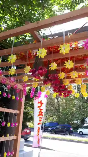 札幌諏訪神社の七五三参