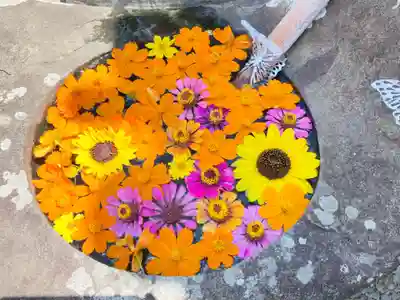 真言宗　善通寺派　薬王寺の手水舎