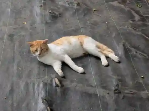 大宝八幡宮(茨城県)