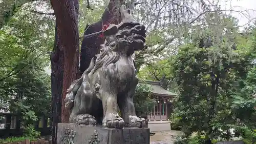 青山熊野神社の狛犬