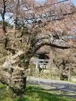 高司神社〜むすびの神の鎮まる社〜(福島県)