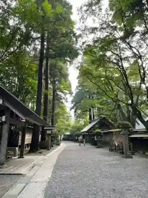 天岩戸神社(宮崎県)