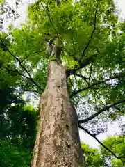 金蔵寺の自然