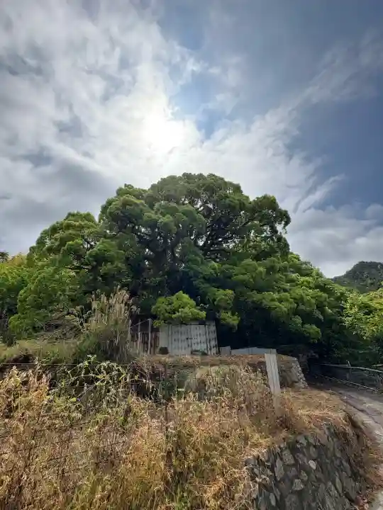 大山祇神社奥の院 生樹の御門(愛媛県)