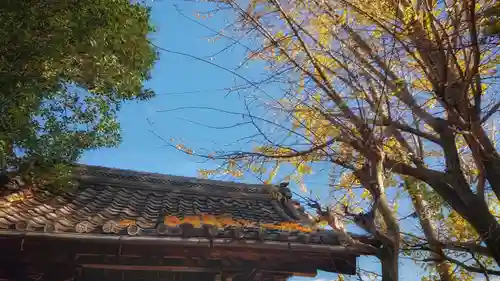 祐専寺の山門・神門