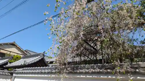 如意寺(京都府)
