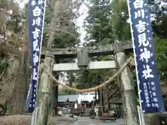 白川吉見神社の鳥居