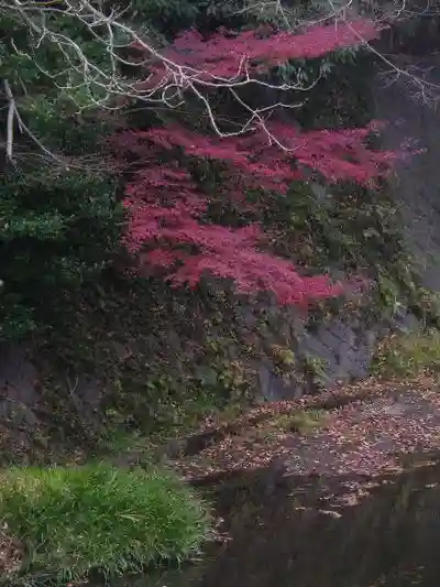 東勝寺跡の自然
