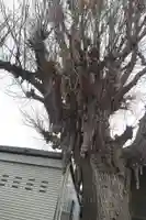 東漸寺(千葉県)