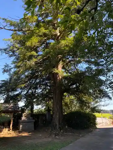 普門院(千葉県)