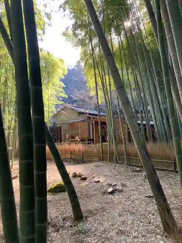 報国寺(神奈川県)