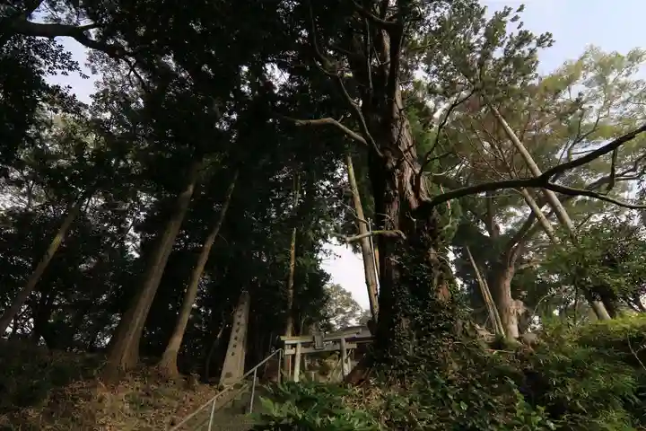 阿久津「田村神社」(郡山市阿久津町)旧社名:伊豆箱根三嶋三社の鳥居