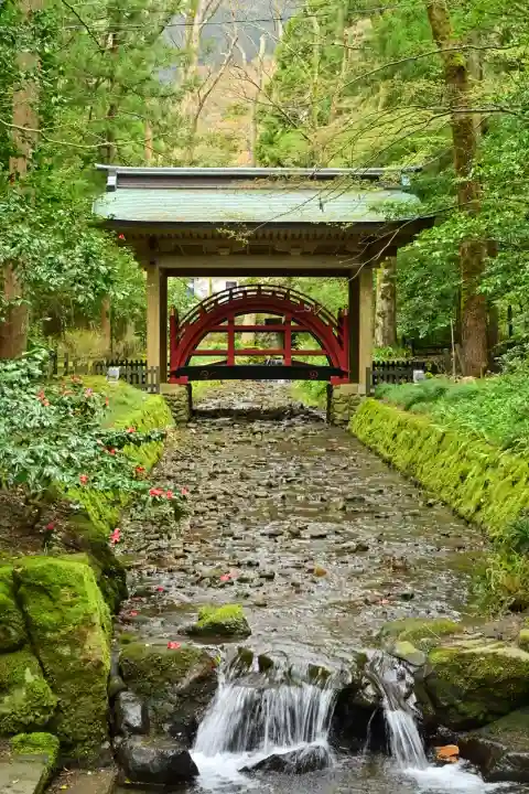 彌彦神社(新潟県)