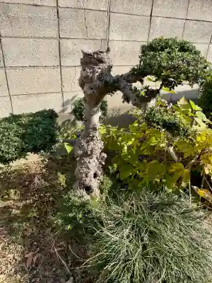 北袋天神社(埼玉県)