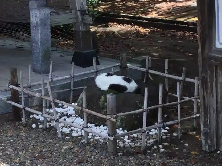 鎌数伊勢大神宮(千葉県)