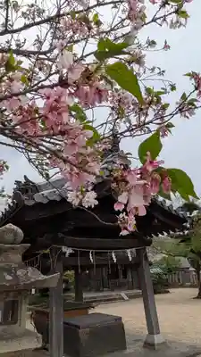 誉田八幡宮(大阪府)