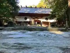 椿大神社の本殿