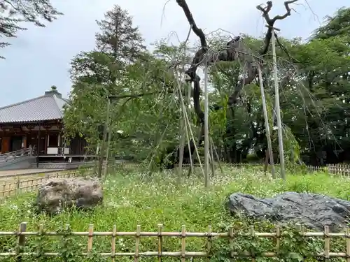 弘法寺(千葉県)