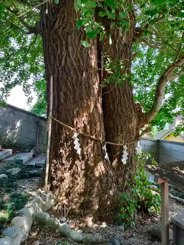 堤治神社の自然