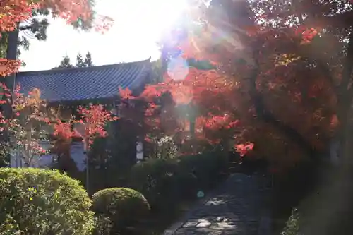 酬恩庵一休寺(京都府)
