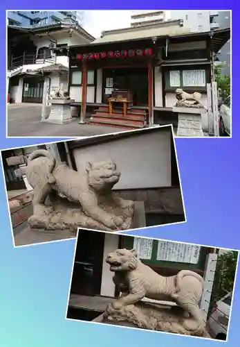 正伝寺の狛犬