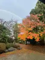 楽水亭 大龍寺の自然