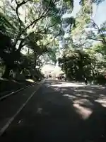 明治神宮(東京都)