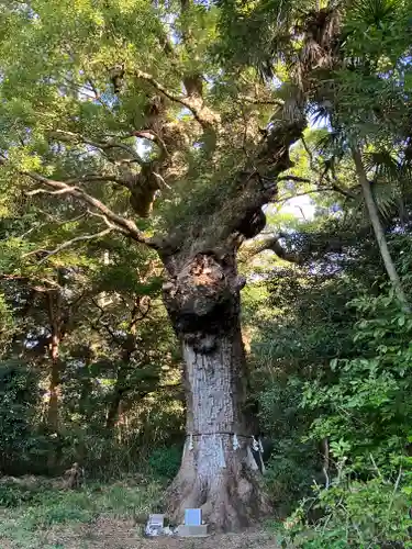 多久頭魂神社(長崎県)