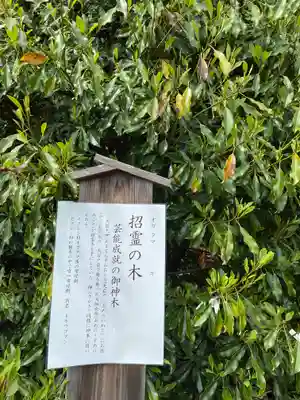 森友瀧尾神社(栃木県)