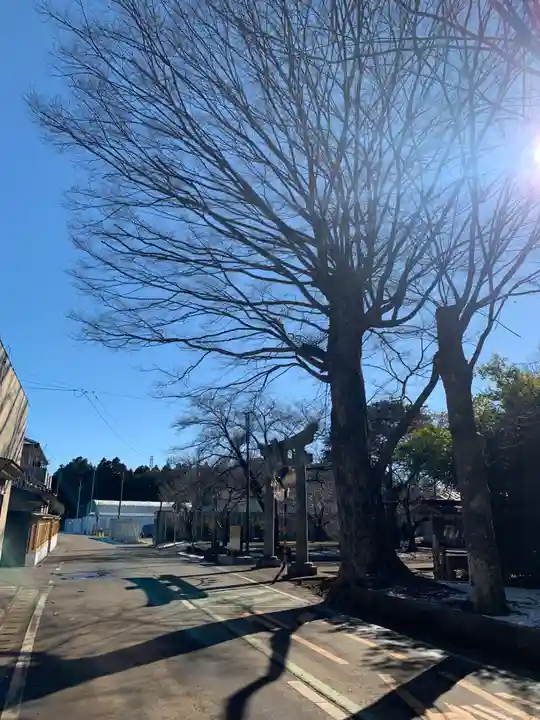 金刀比羅神社(千葉県)