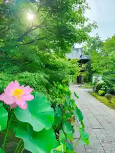 伊勢の国 四天王寺(三重県)(2024年07月16日(火) 18時48分13秒投稿)