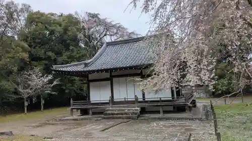 醍醐寺(京都府)