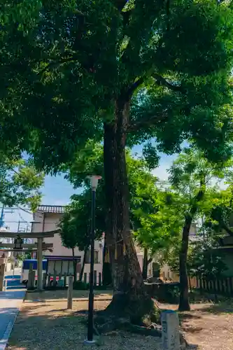 穴太神社(大阪府)