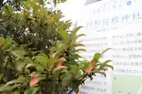 阿邪訶根神社のその他建物