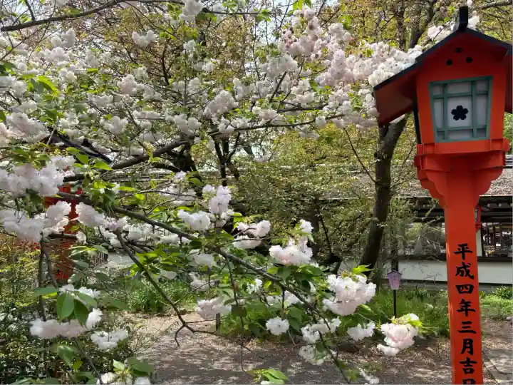 平野神社(京都府)