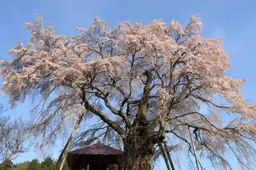 上石不動堂の自然