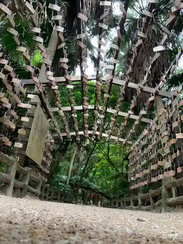 青島神社（青島神宮）の絵馬