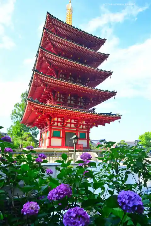 高幡不動尊 金剛寺(東京都)
